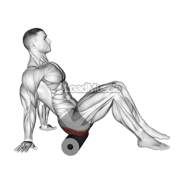 Roll Glutes Sitting on Floor