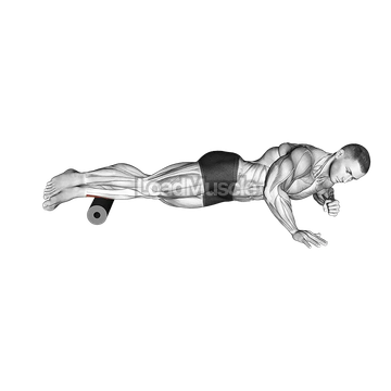 Roll Peroneal Side Lying on Floor