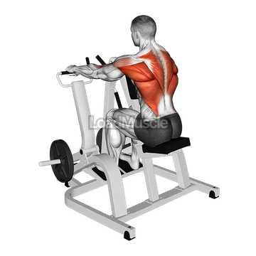 Lever Pronated Grip Seated Row (plate loaded)