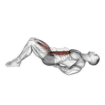 Lying Bent Legs Raise