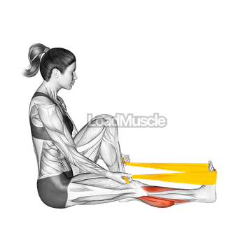 Resistance Band Seated Calf Stretch