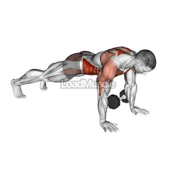 Dumbbell Plank Pass Through