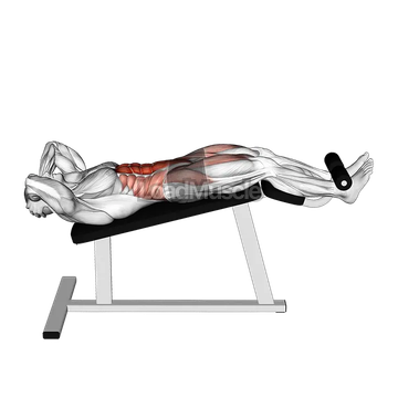 Decline Sit-Up