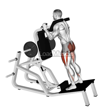 Lever Reverse Vertical Hack Squat