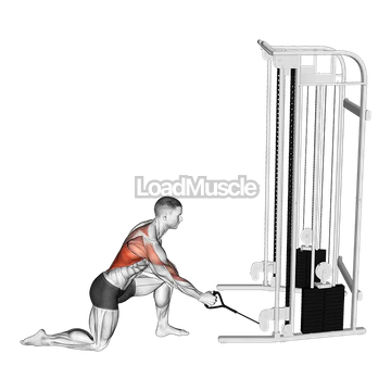 Cable Kneeling Leaning Forward One Arm Row