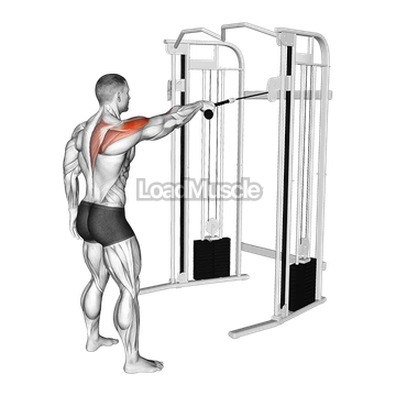Cable Standing One Arm Face Pull