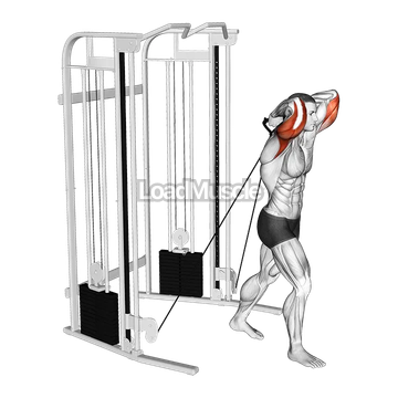 Cable Standing Crossover Overhead Tricep Extension