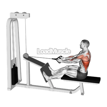 Cable Seated Lats Focused Row