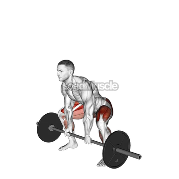 Barbell Paused Sumo Deadlift
