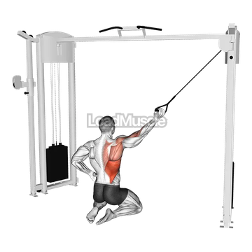 Cable Kneeling Single Lat Pulldown
