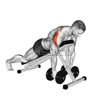 Dumbbell Prone Rear Delt Swing