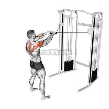 Cable Standing Face Pull