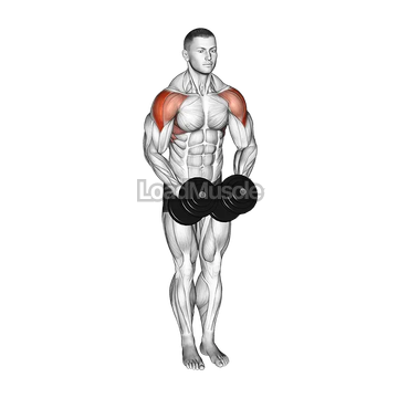Dumbbell Standing Bent Arm Lateral raise