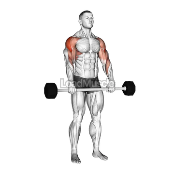 Barbell Shoulder Grip Upright Row