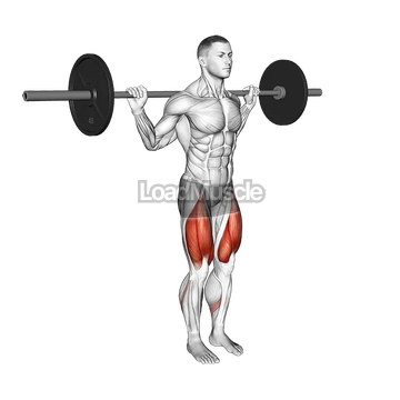 Barbell Narrow Stance Squat