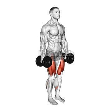 Dumbbell Narrow Stance Squat