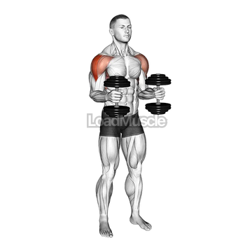 Dumbbell Bent Arm Laterl Raise