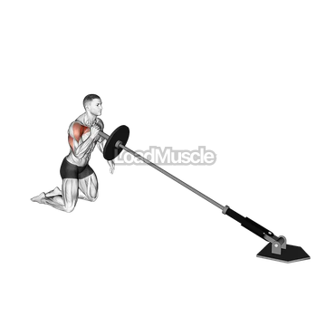 Landmine Kneeling One Arm Shoulder Press