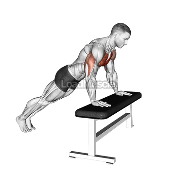Incline Push-up (on bench)