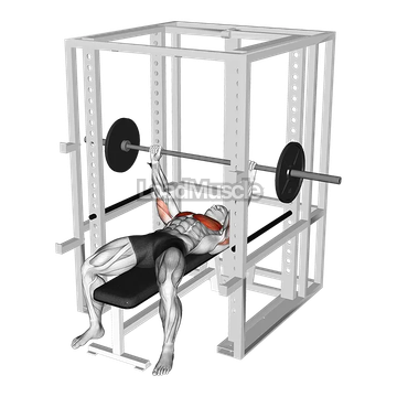 Barbell Pin Chest Press