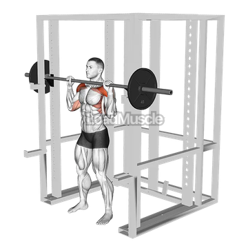 Barbell Standing Shoulder Pin Press