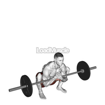 Barbell Zercher Deadlift