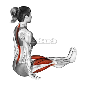 Lean Forward Stretch