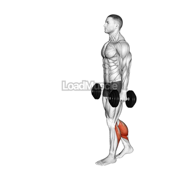 Dumbbell Walking Calf Raise