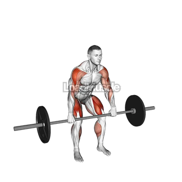 Barbell Hang Power Clean