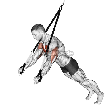 Suspension Chest Press