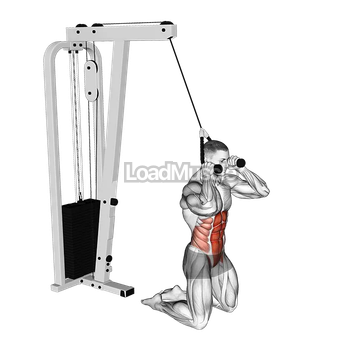 Cable Kneeling Crunch