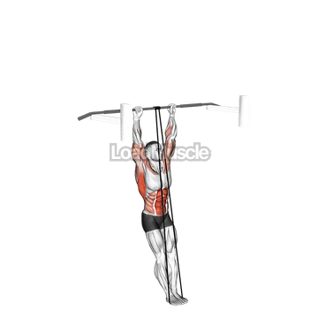 Band Assisted Muscle-up