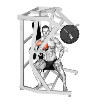 Lever One Arm Side Chest Press