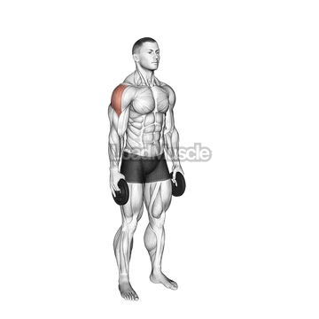 Weighted Full Can Exercise