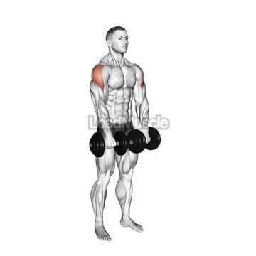 Dumbbell Empty Can Exercise