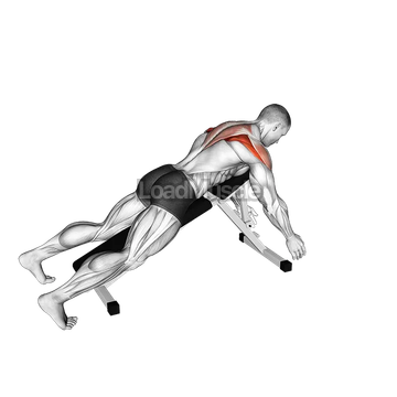 Prone Y Raise