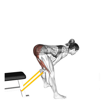 Resistance Band Pull Through