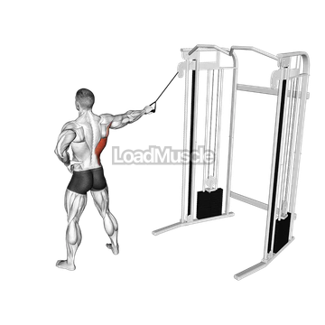 Single Arm Side Straight Arm Lat Pulldown