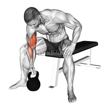 Kettlebell Concentration Curl