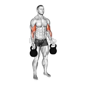 Kettlebell Biceps Curl