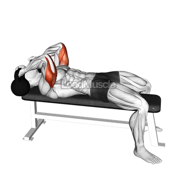 Kettlebell Lying Triceps Extension Skull Crusher