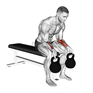 Kettlebell Wrist Curl