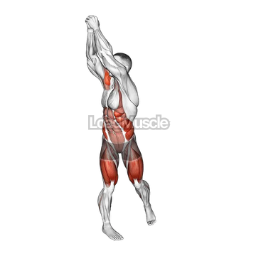 Bodyweight Wood Chop Squat