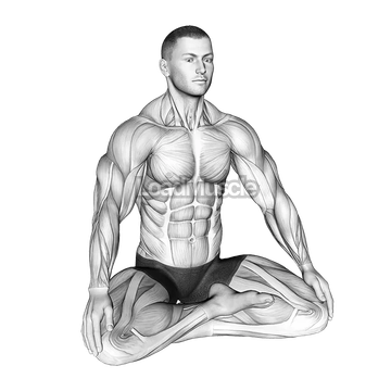 Lotus Pose Breathing