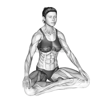 Mindful Breathing Meditation