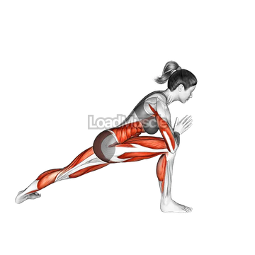 Revolved Side Angle Pose