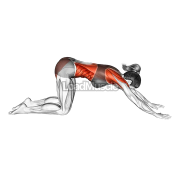 Thread the Needle Pose