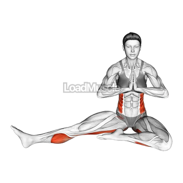 Revolved Head to Knee Pose