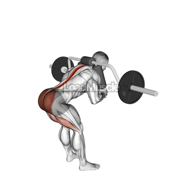 Safety Bar Good Morning