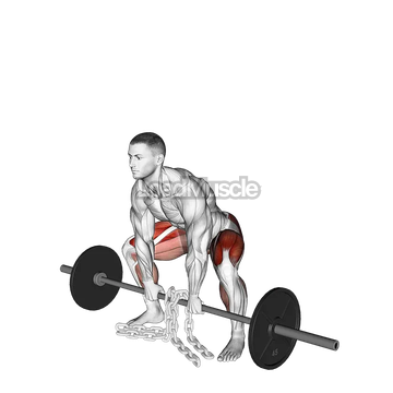 Barbell Weighted Chains Sumo Deadlift